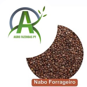 NABO FORRAGEIRO