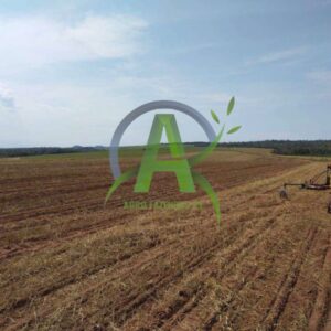 🔰EXELENTE ÁREA A VENDA 🌱ÁREA TOTAL 1,500 HECTARES