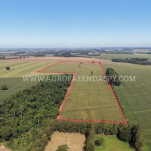 🔰EXELENTE AREA A VENDA 🌱ÁREA TOTAL 12 ALQUEIRE.