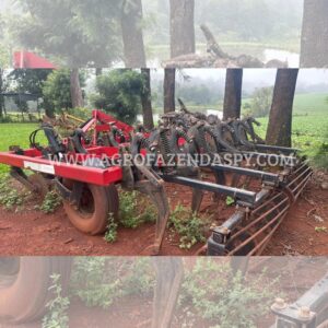 ESCARIFICADOR PICCIN  11 HASTE