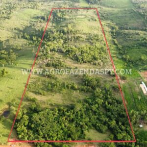 🌱EXELENTE ÁREA A VENDA  ÁREA TOTAL 20 HECTARES