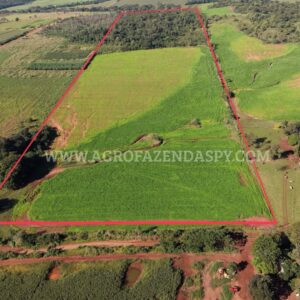 ÁREA TOTAL 20 HECTARES
