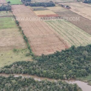PROPRIEDADE A VENDA  6.5 HECTARES