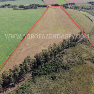 PROPRIEDADE A VENDA AREA TOTAL 16 HECTARES