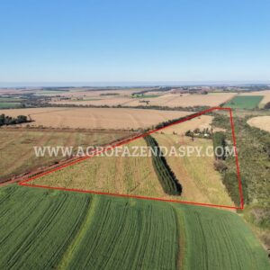 PROPRIEDADE A VENDA  AREA TOTAL 24 HECTARES