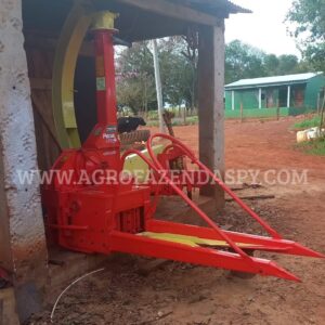 SILAGEIRA NOGUEIRA