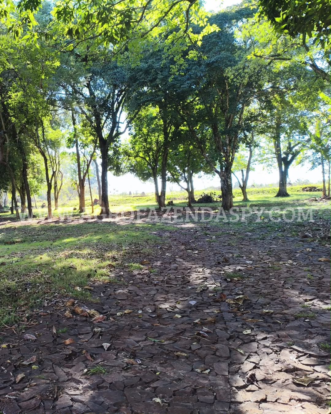 Área de 06 hectares, ✅ 102 lotes aprovados p/loteamento - Imagem 10