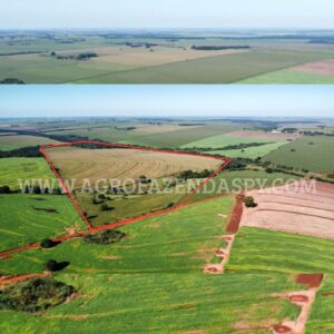 EXCELENTE ÁREA A VENDA ÁREA TOTAL 87 HECTARES