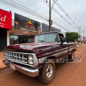CAMINHONETE  FORD F-1000