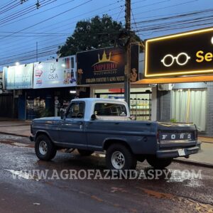 FORD F-1000 MWM 229