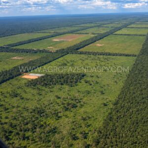 EXCELENTE ÁREA À VENDA NO CHACO 5.000 HECTARES